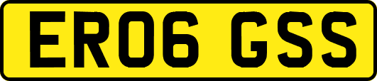 ER06GSS