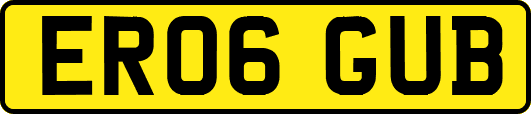 ER06GUB