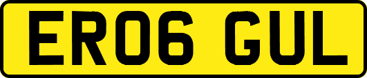ER06GUL