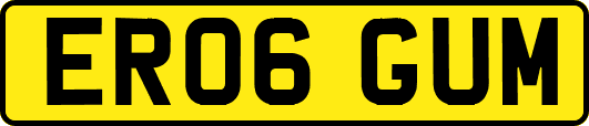 ER06GUM