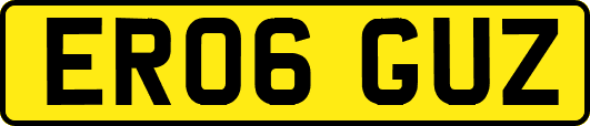 ER06GUZ