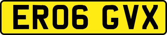 ER06GVX