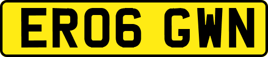 ER06GWN