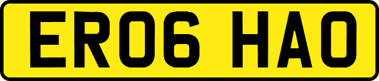 ER06HAO