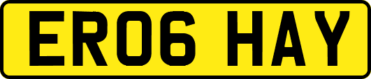 ER06HAY