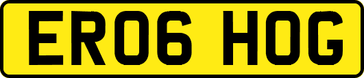 ER06HOG
