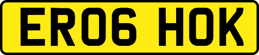 ER06HOK