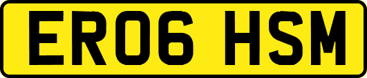 ER06HSM