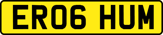ER06HUM