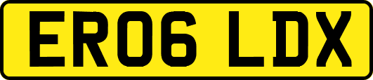 ER06LDX