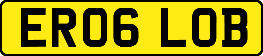 ER06LOB