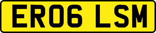 ER06LSM