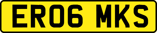 ER06MKS