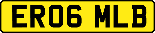 ER06MLB