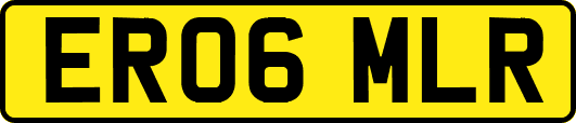 ER06MLR