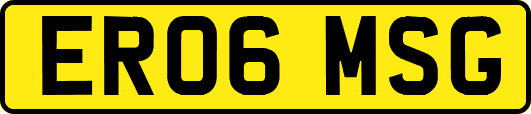 ER06MSG