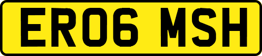 ER06MSH