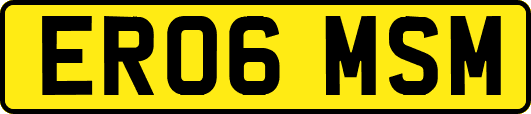 ER06MSM