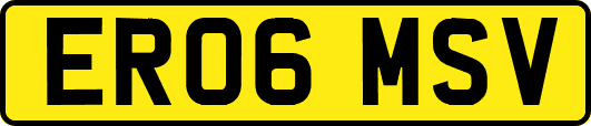 ER06MSV