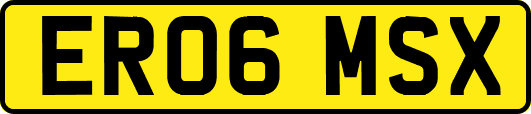 ER06MSX