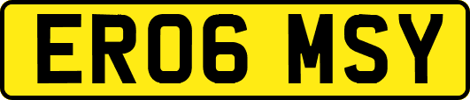 ER06MSY