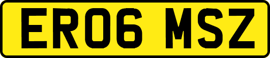 ER06MSZ