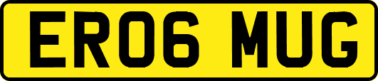 ER06MUG