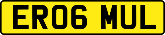 ER06MUL