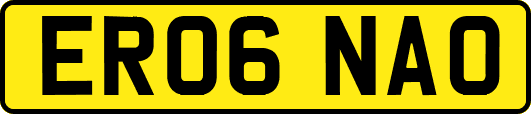 ER06NAO