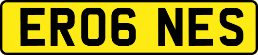 ER06NES