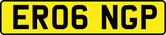 ER06NGP