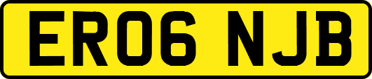 ER06NJB