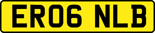 ER06NLB