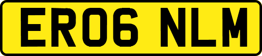 ER06NLM