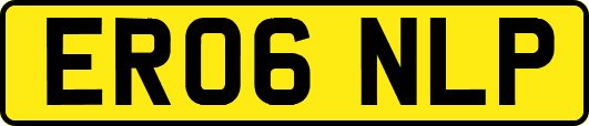 ER06NLP