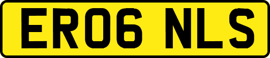 ER06NLS