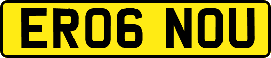 ER06NOU