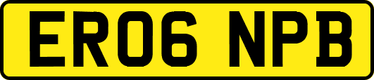 ER06NPB