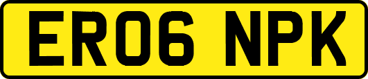 ER06NPK