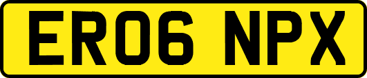 ER06NPX