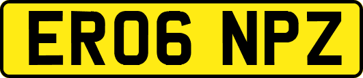 ER06NPZ