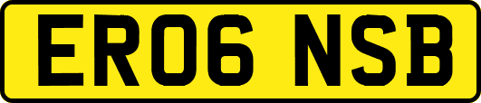 ER06NSB