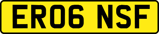 ER06NSF