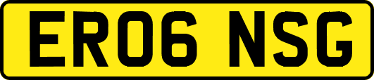 ER06NSG