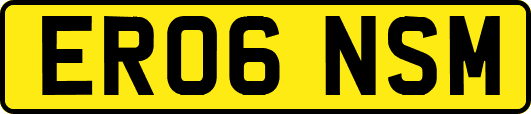 ER06NSM