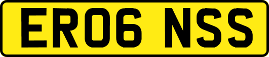 ER06NSS