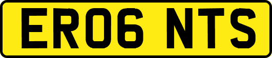 ER06NTS