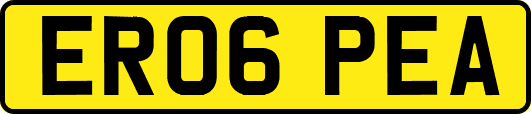 ER06PEA