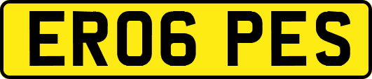ER06PES