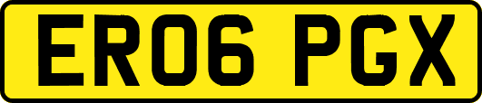 ER06PGX